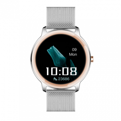 DAKOTA MM IPSILVER SILVER MESH